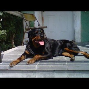 Meet your Posher, Mary